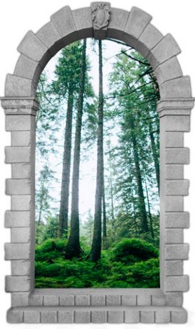 שער עתיק ליער מלכותי