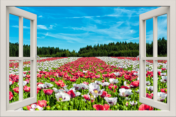 מדבקת קיר חלון תלת מימד שדה של פרחים