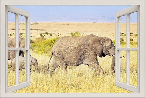 מדבקת קיר חלון תלת מימד נוף עם פילים
