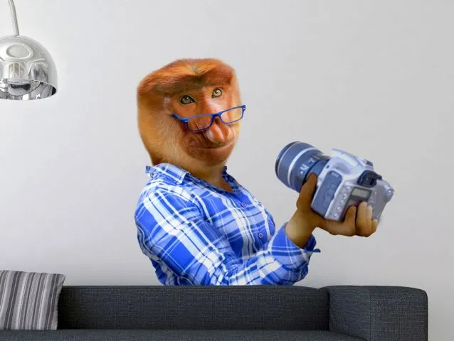 קופת הסלפי