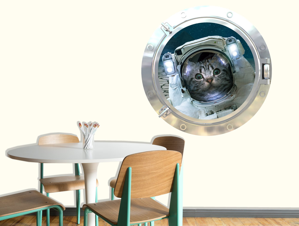חתלתול אסטרונאוט