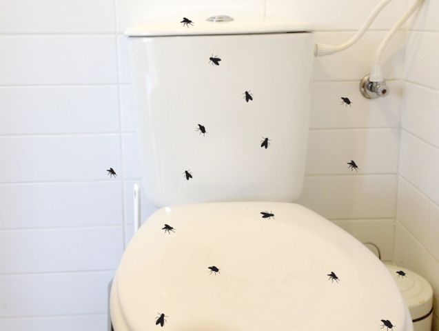 זבובים בשירותים