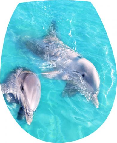 מדבקה לאסלה דולפינים חמודים