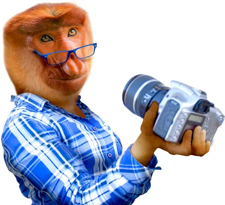 קופת הסלפי