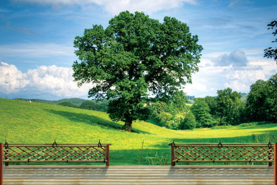 מרפסת עץ עם נוף של גבעות ירוקות