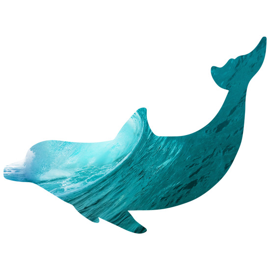 מדבקה | דולפין בים