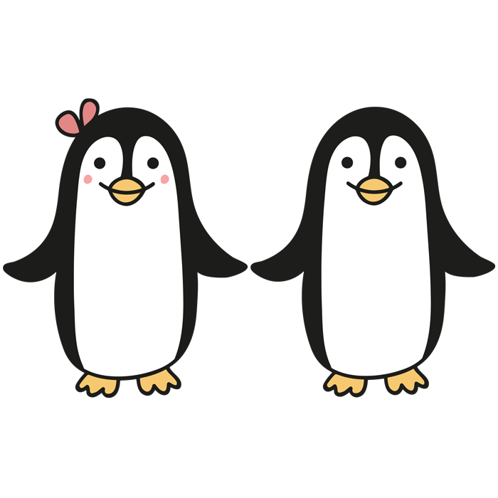 זוג פינגווינים