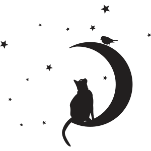 חתול על הירח