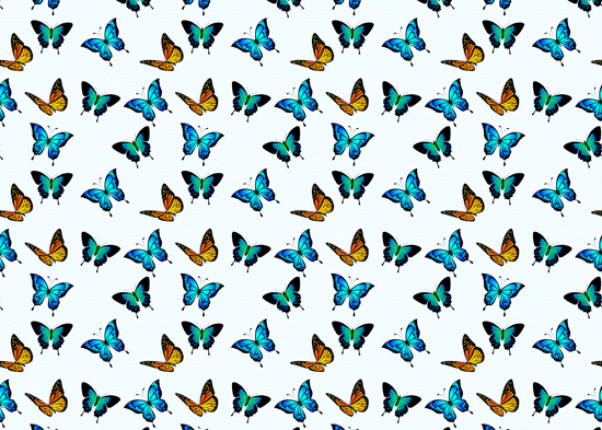 פרפרים צבעוניים