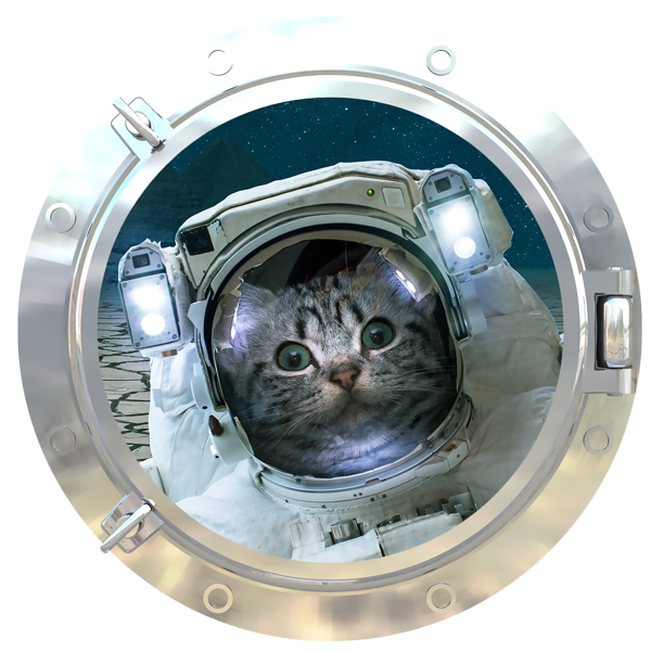 חתלתול אסטרונאוט
