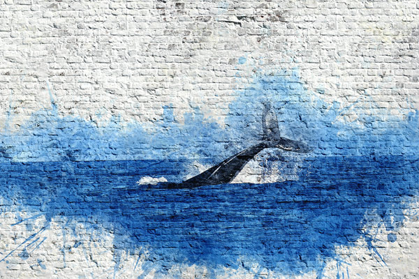 גרפיטי לוויתן בים