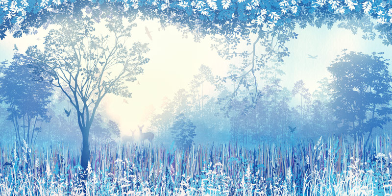 יער קסום כחול