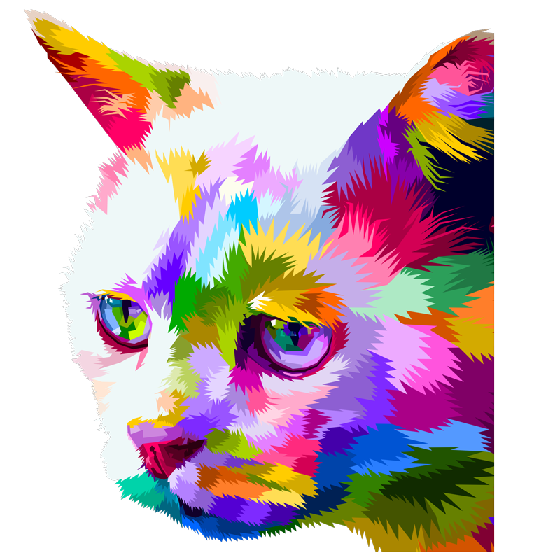 חתול צבעוני