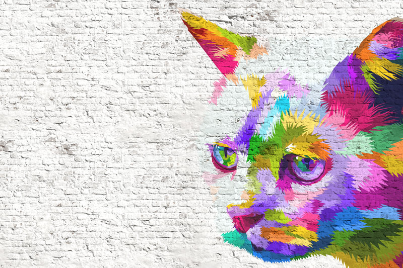 ציור חתול צבעוני