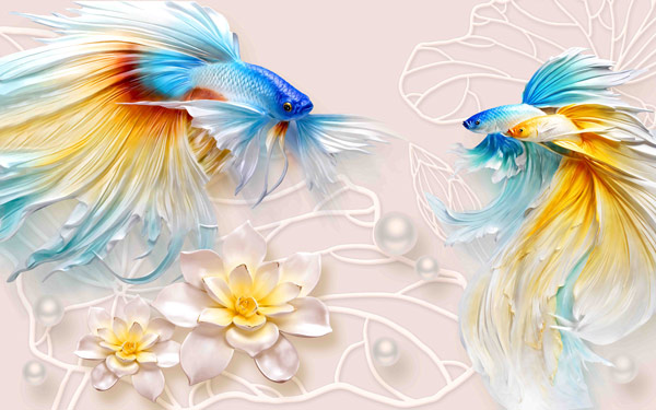 דגים צבעוניים יפיפיים