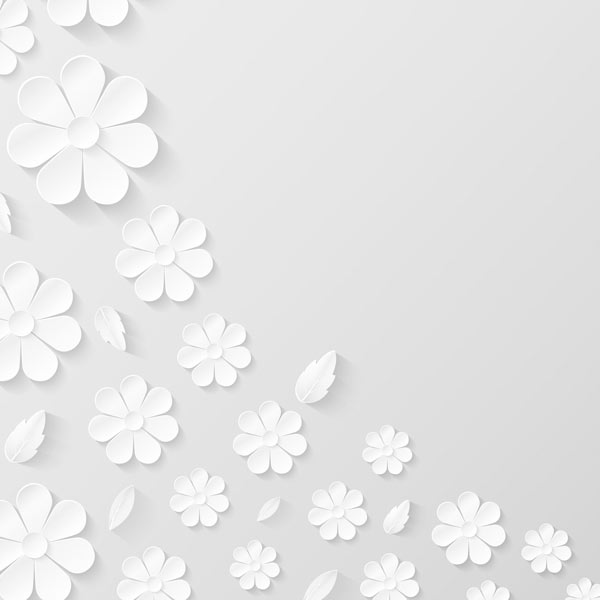 פרחים לבנים תלת מימדיים