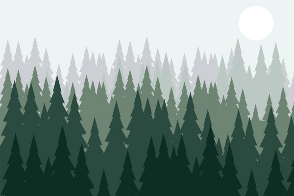 יער מאוייר בגווני ירוק אפור