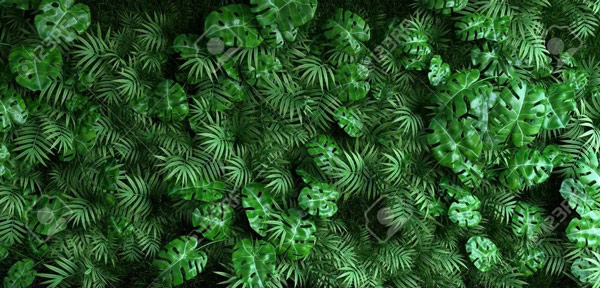 עלי יער ירוקים מעוצבים תלת מימדיים
