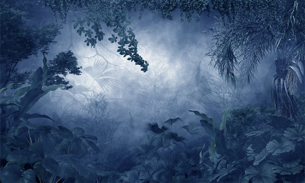 מדבקת טפט | ג'ונגל מעורפל בלילה