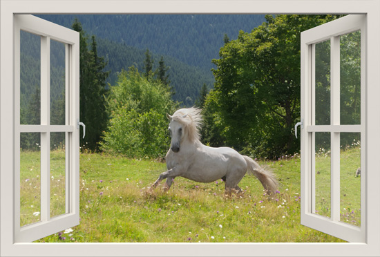 3D window- סוס לבן בחלון