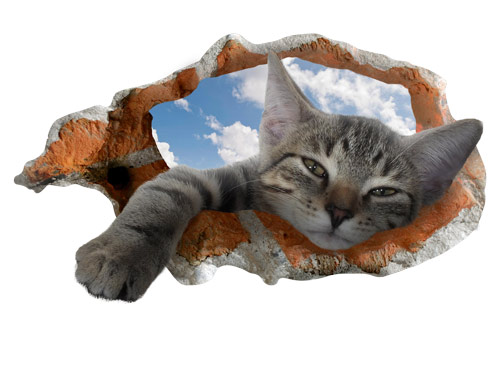 מדבקת קיר חור תלת מימד חתול מנומנם