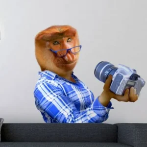 קופת הסלפי