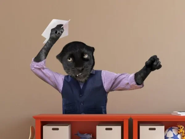 פנטר חמוד
