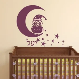ינשוף חכם בלילה