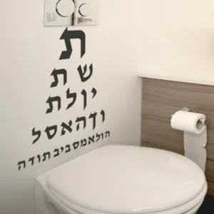 בדיקת ראיה