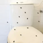 זבובים בשירותים | StickDecor
