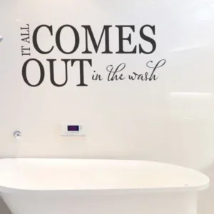 it all comes out in the wash