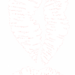 נשיקה חושנית | StickDecor
