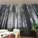 מדבקת טפט יער ירוק | StickDecor