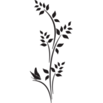 צמחי בר | StickDecor