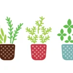 מדבקה עציצים צבעוניים | StickDecor