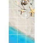 מדבקת רצפה כוכב ים | StickDecor