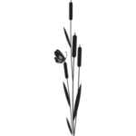 קנה סוף | StickDecor