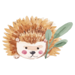 קיפוד חמוד בצבעי מים | StickDecor