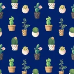 קקטוסים על רקע כחול כהה | StickDecor