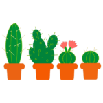 מדבקה | קקטוסים מצויירים | StickDecor