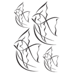 דגים | StickDecor