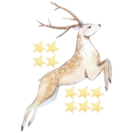 אייל מקפץ בין כוכבים | StickDecor