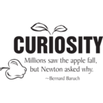 Curiosity.. | StickDecor