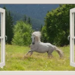 3D window- סוס לבן בחלון | StickDecor