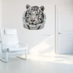 מדבקת קיר טייגר לבן | StickDecor