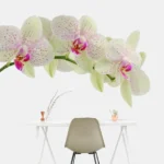 מדבקת סחלב מרהיבה | StickDecor