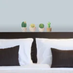 קקטוסים בעציצים | StickDecor