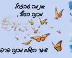 מדבקת טפט מעוצבת מפת עולם והמנון - את מה שהזחל מכנה סוף