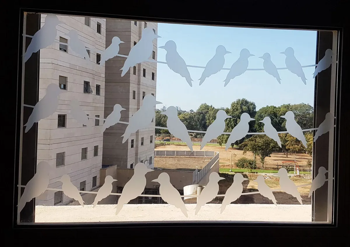 מבדקה חלבית לחלון – ציפורים
