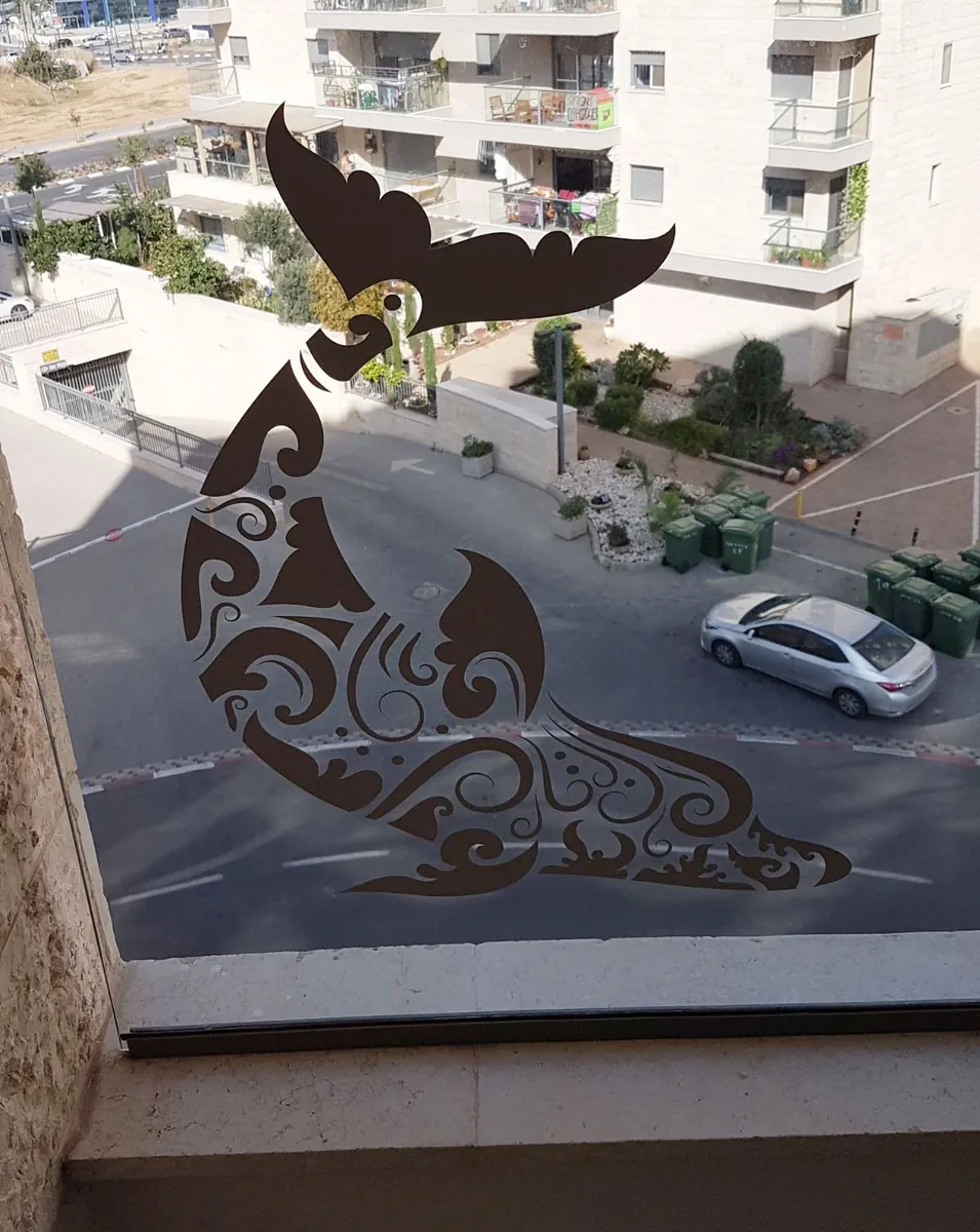 דולפין שוחה